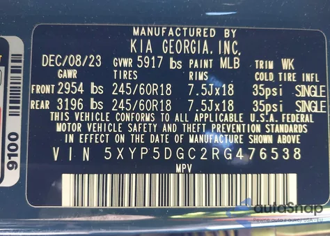 2024 Kia Telluride Sx Prestige X-Pro from USA, damaged, VIN 5XYP5DGC2RG476538